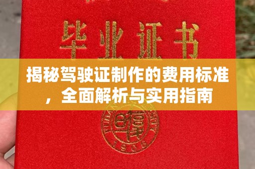 宜黄揭秘驾驶证制作的费用标准，全面解析与实用指南